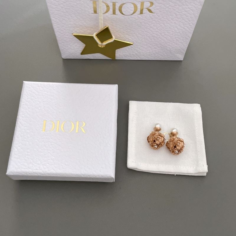 Christian Dior Earrings